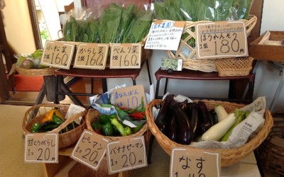 寒くても美味しい。〜お野菜市